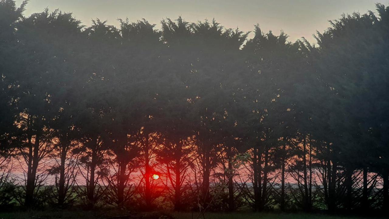 فيلا Bois De Crane Landes-le-Gaulois المظهر الخارجي الصورة